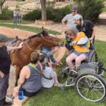 Person in a wheelchair petting a horse
